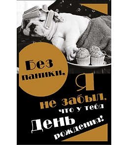 Открытка А5 Без паники 5-10-0567 326575 — 1