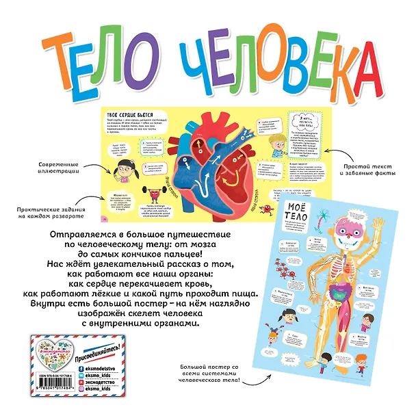 Книга Тело человека. Моя первая энциклопедия (Клайв Гиффорд) — 2
