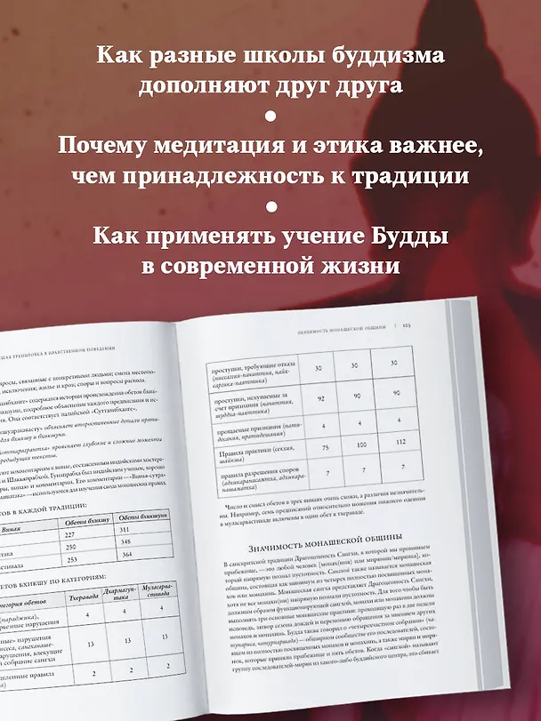 Книга Буддизм. Один учитель, много традиций (Тубтен Чодрон, Далай-лама XIV) — 9