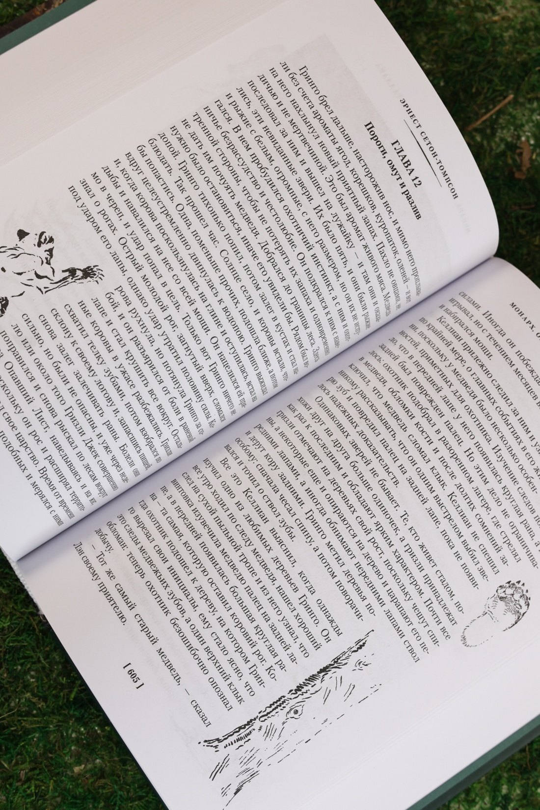 Изображение бумажной книги