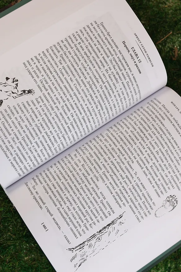 Книга Рольф в лесах. Лесные рассказы (Эрнест Сетон-Томпсон) — 19