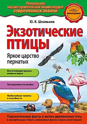 Экзотические птицы. Яркое царство пернатых — 2379989 — 1
