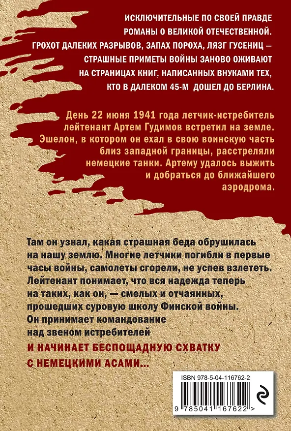 Книга Гроза из поднебесья (Владимир Колычев) — 2