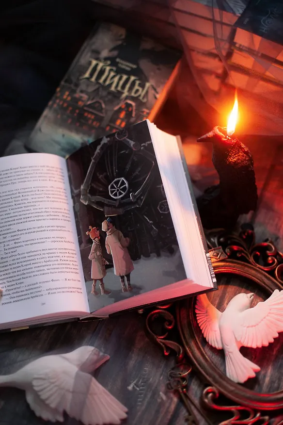 Книга Птицы (Владимир Торин) — 16