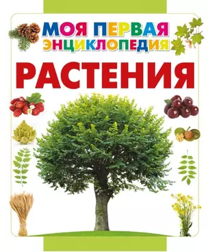 Растения — 2455874 — 1