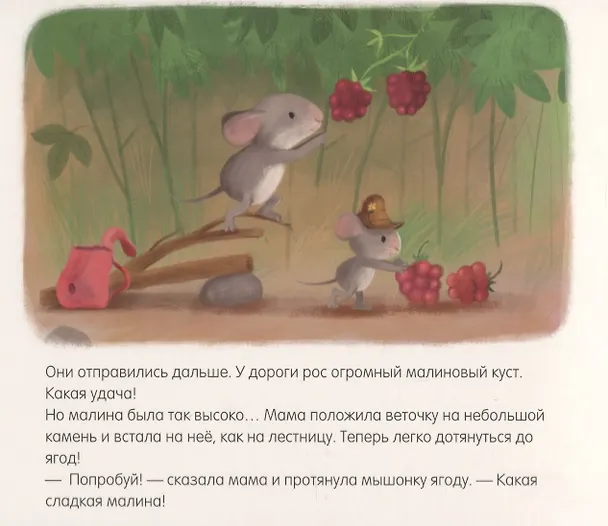 Книга Самый лучший мышонок на свете (Катя Райдер) — 3