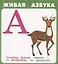 Живая азбука. Набор карточек — 2786520 — 1