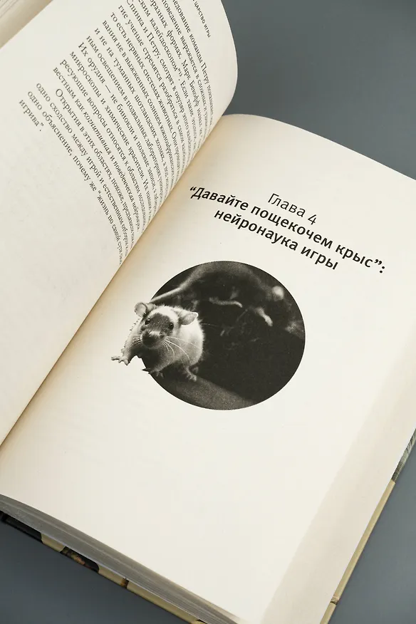 Книга Царство игры (Дэвид Туми) — 12