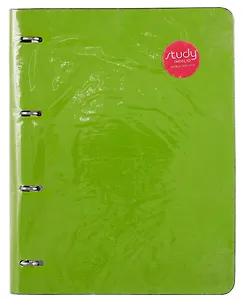 Тетрадь на кольцах в клетку InFolio, "Elegance. Light Green", 120 листов