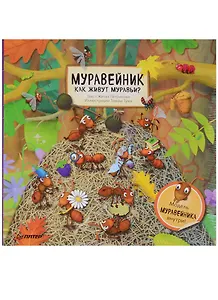 Муравейник. Как живут муравьи ?