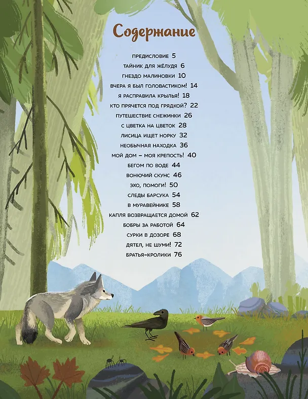 Книга Кто живёт в лесу? Иллюстрированный атлас животных (Алтея Вилла) — 13