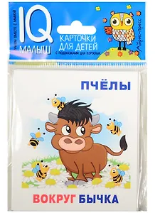 Умный малыш.  Кто где находится? Набор карточек для детей.