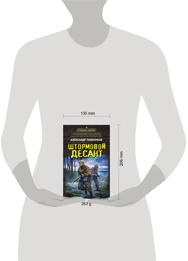 Книга Штормовой десант (Александр Тамоников) — 6