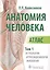 Анатомия человека Атлас т. 1/3 тт. Остеология Артросиндесмология Миология (м) Колесников — 2585223 — 1