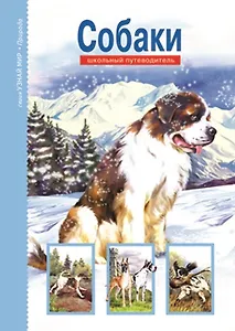 Собаки: Школьный путеводитель