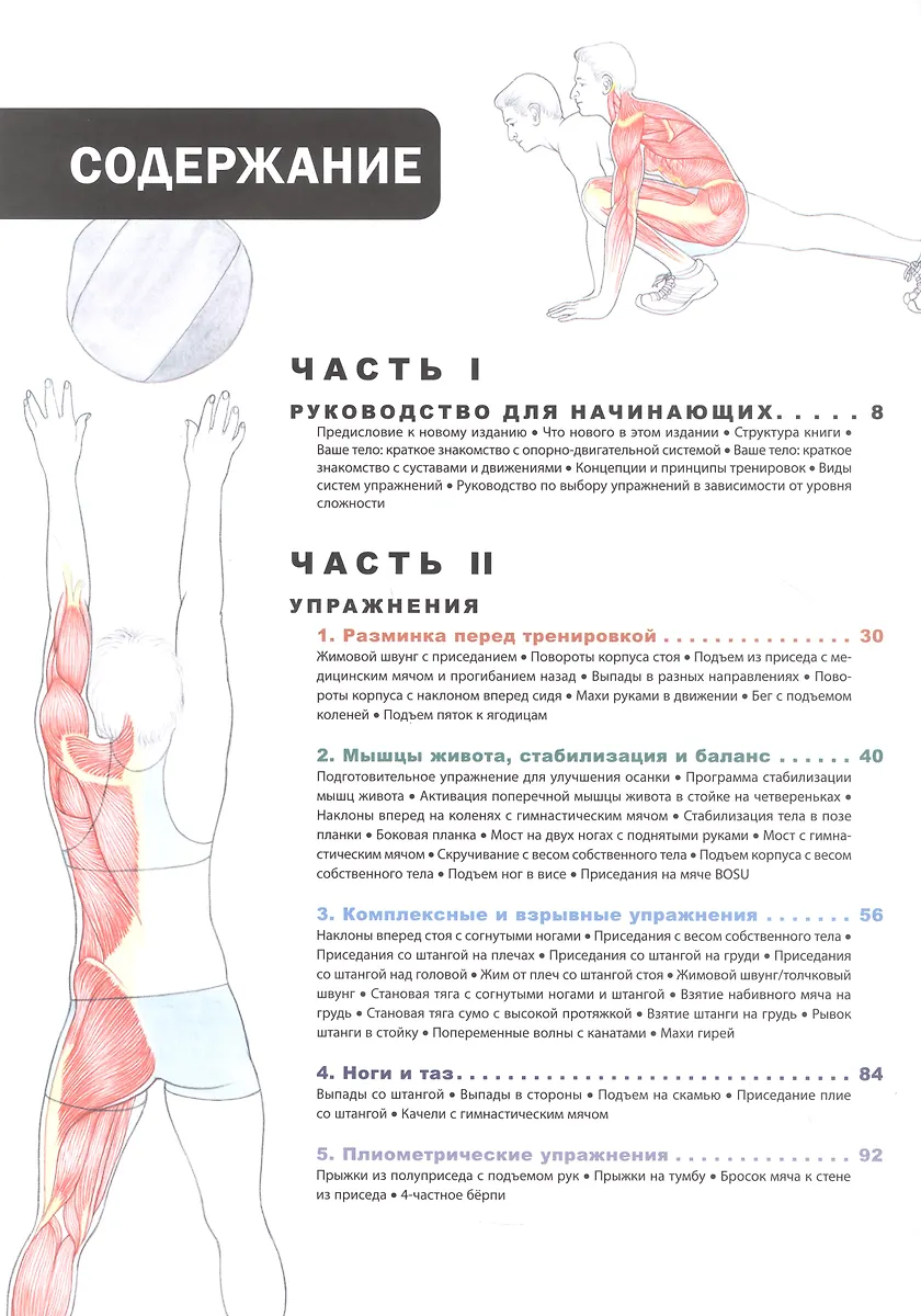 на четвереньках частное Анатомия фитнеса и силовых упражнений: иллюстрированный справочник по  мышцам в действии (Марк Велла) 📖 купить книгу по выгодной цене в  «Читай-город» ISBN 978-985-15-5189-3