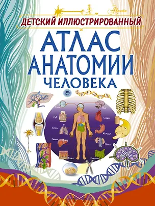 Книга Детский иллюстрированный атлас анатомии человека (Анна Спектор)