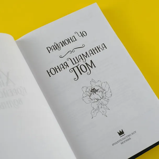 Книга Юная шаманка Пом (Раймонд Чо) — 8