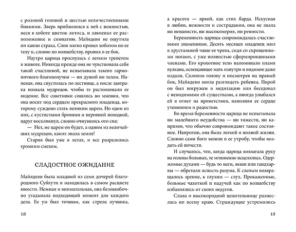 Книга Будда. Жизнь пробужденного (Хуан Арнау) — 12