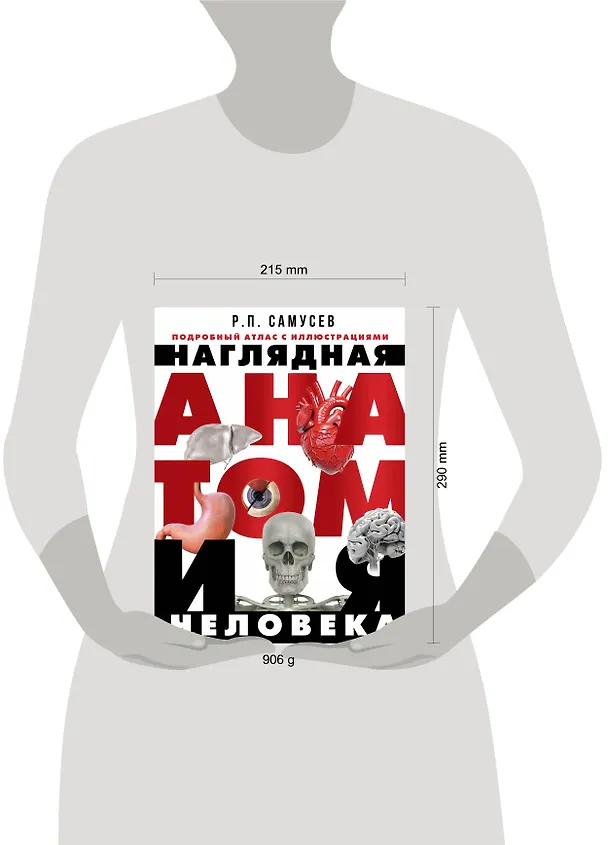 Книга Наглядная анатомия человека. Подробный атлас с иллюстрациями (Рудольф Самусев) — 6