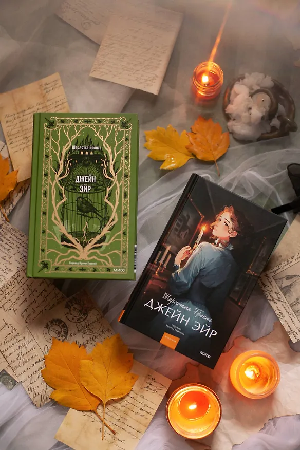 Книга Джейн Эйр. Вечные истории. Young Adult (Шарлотта Бронте) — 14