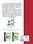 Пишем вместе с "Азбукой с крупными буквами" — 1521825 — 2