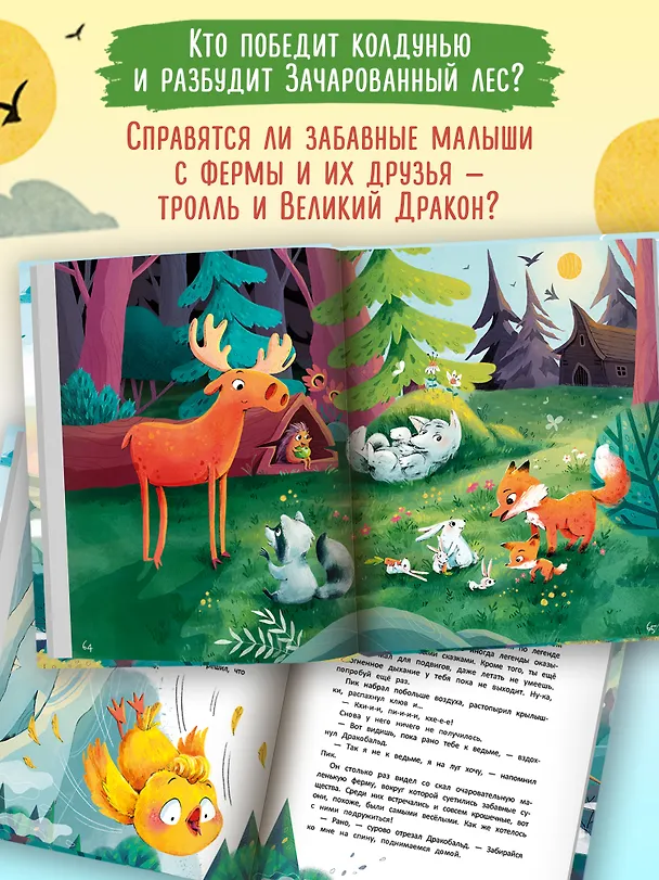 Книга Легенда Драконьих скал (Ирина Гурина) — 4