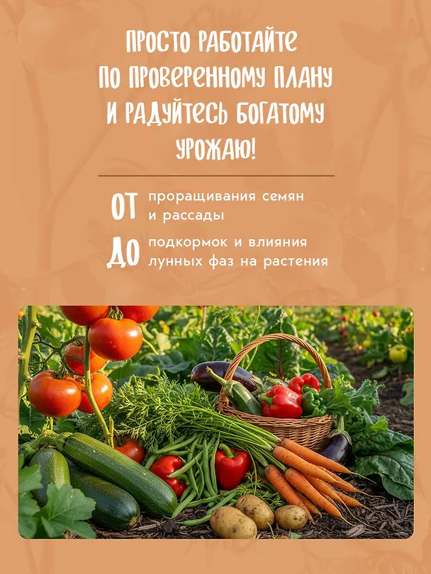 Книга Дневник дачника (на навивке) () — 5