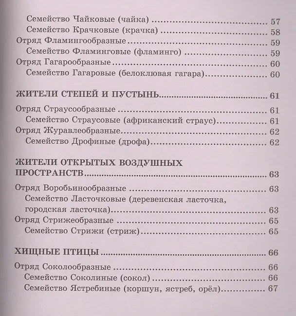 Книга Птицы (Виктория Гетцель) — 5