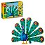 31157 Конструктор детский LEGO Creator 3-in-1 Экзотический павлин, 355 деталей, возраст 7+ — 3181286 — 1