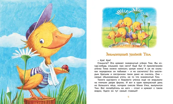 Книга Знаменитый утёнок Тим (Энид Блайтон) — 2