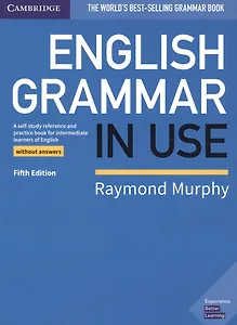 English Grammar In Use Book without answers