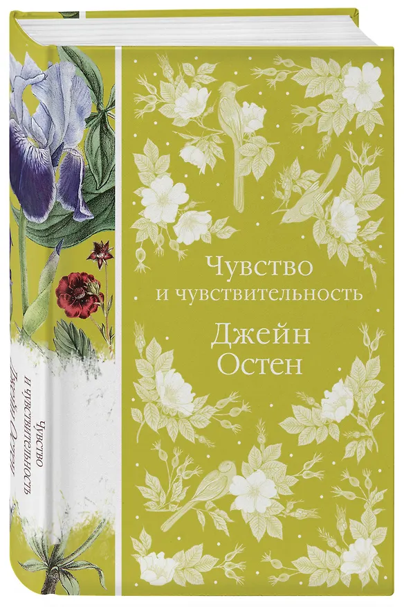 Книга Чувство и чувствительность (Джейн Остен) — 6