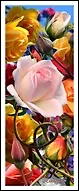 Закладка 3D Roses (Листопадова)