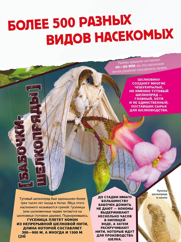 Книга Большая энциклопедия о насекомых. 500 фотографий и фактов (Анна Спектор) — 8