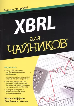 XBRL для чайников — 2560673 — 1