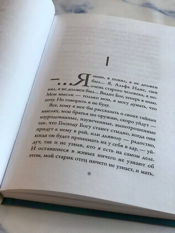 Книга Ночью вся кровь черная (Давид Диоп) — 11