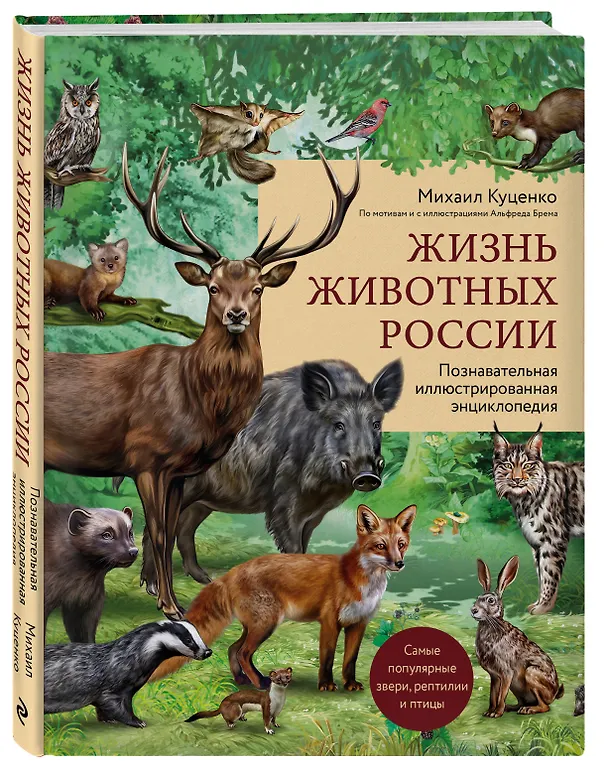 Книга Жизнь животных России. Познавательная иллюстрированная энциклопедия (Михаил Куценко) — 5