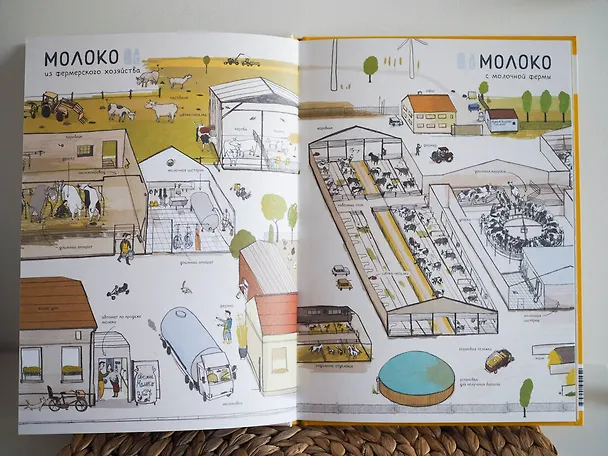 Книга Откуда берется еда? (Юлия Дюрр) — 6