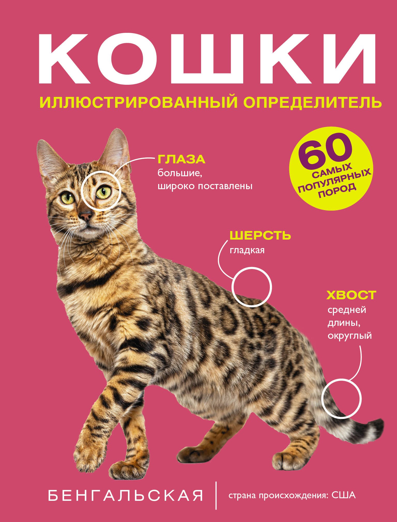 Дмитрий Сергеевич Смирнов, Анна Артуровна Спектор Кошки. 60 самых популярных пород. Иллюстрированный определитель