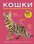 Кошки. 60 самых популярных пород. Иллюстрированный определитель — 3169337 — 1