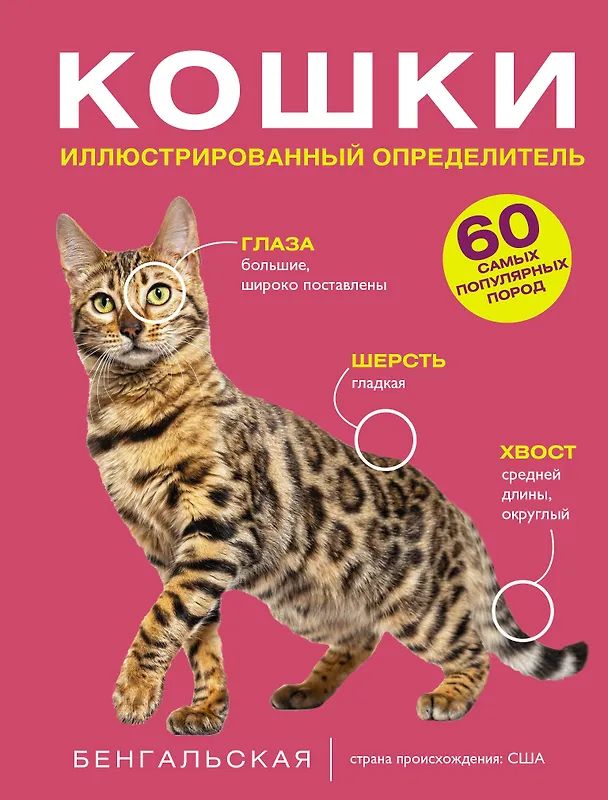 Книга Кошки. 60 самых популярных пород. Иллюстрированный определитель (Дмитрий Смирнов, Анна Спектор) — 1