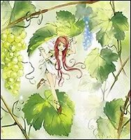 Наб. салф. для декупажа Виноградная лоза (631124/005000) (2шт) (упаковка)