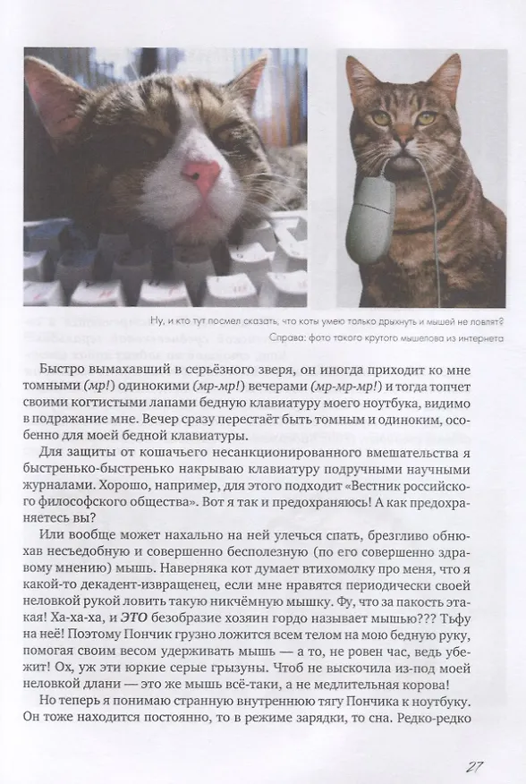 Книга Коты и Кошки. Заметки диванного натуралиста () — 6