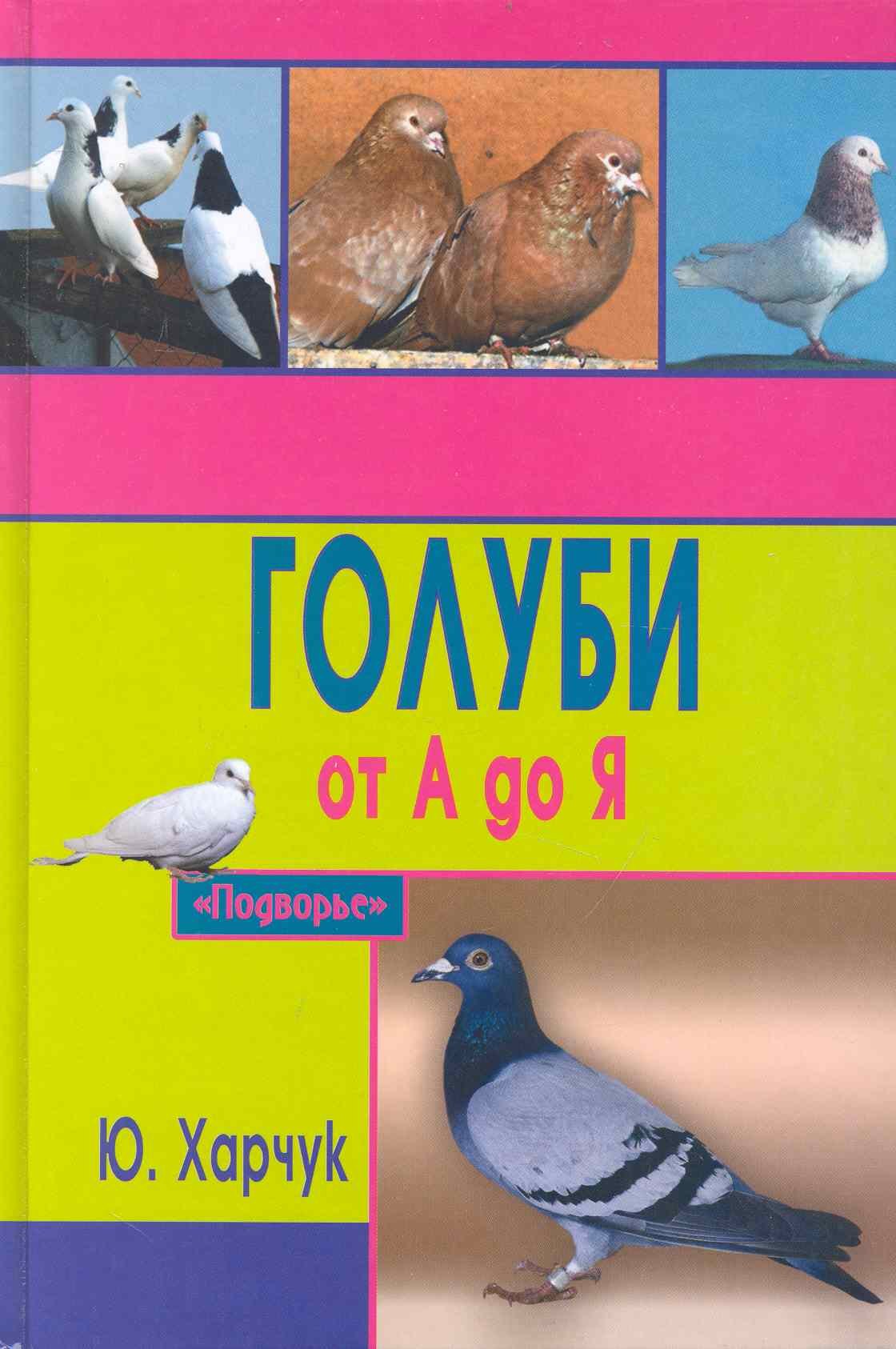 

Голуби от А до Я