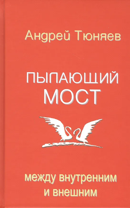 Книга Пылающий мост: между внутренним и внешним (Андрей Тюняев) — 1