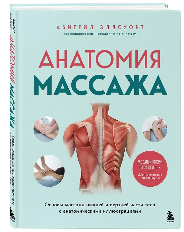 Книга Анатомия массажа. Основы массажа нижней и верхней части тела с анатомическими иллюстрациями (Абигейл Эллсуорт) — 5