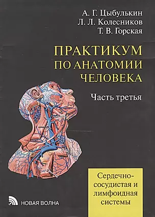Практикум по анатомии человека т.3 Сердечно-сосудистая и лимфоидная системы (Цыбулькин) — 2469357 — 1