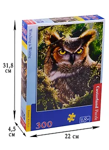 Пазл Castorland Сова.Наблюдение 300эл. В-030231