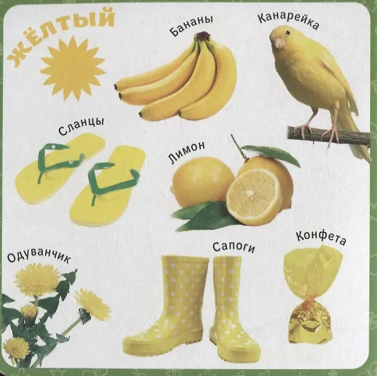 Книга Цвета () — 2